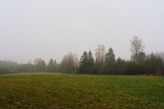 The cultural landscape of Toten, Norway, April 2025.