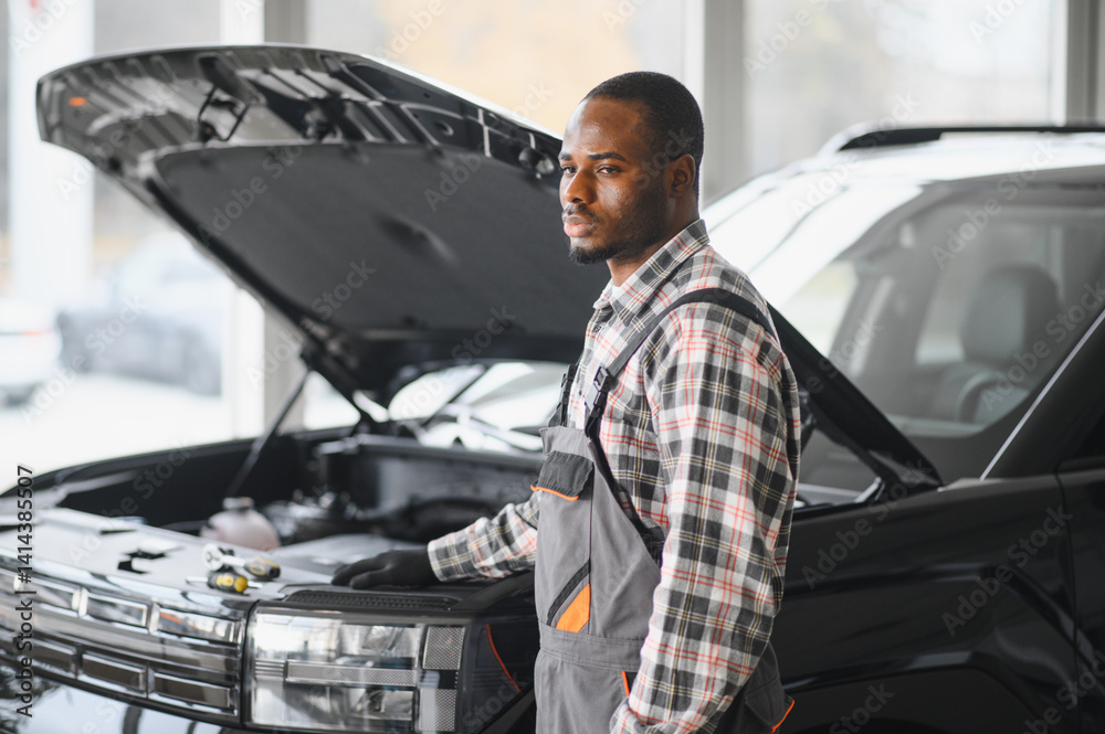Poster auto mechanic performing a routine service inspection in a service garage