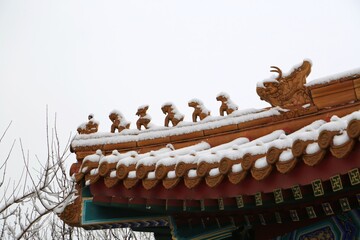 chinese temple roof