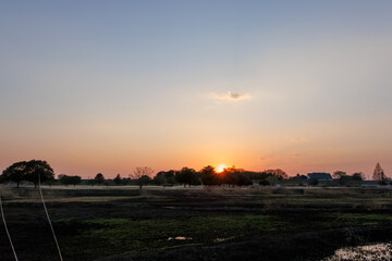 Fototapeta premium 夕暮れの美しく広大なヨシ原 ヨシ焼き直後の葦原。 焼き尽くされて見渡しが良くなっている。栃木県栃木市渡良瀬遊水地-2025 