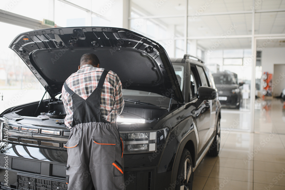 Poster auto mechanic performing a routine service inspection in a service garage