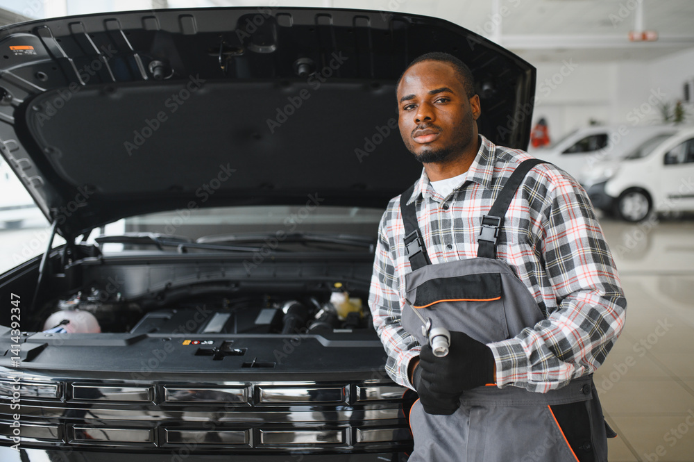 Poster auto mechanic performing a routine service inspection in a service garage