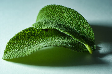 Diese Serie pr&auml;sentiert makroaufgenommene Salbeibl&auml;tter. Feine Adern, satte Gr&uuml;nt&ouml;ne und zarte Texturen enth&uuml;llen die nat&uuml;rliche Eleganz des Salbei.