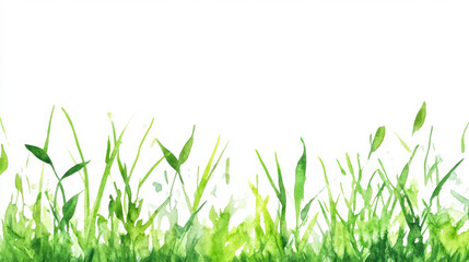 Fototapeta premium Vivid watercolor illustration of green grass edge against a white background, ideal for kids