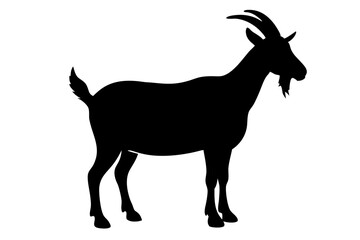 Fototapeta premium Elegant Goat Silhouette Isolated On White Background Farm Animal Design Element Livestock Vector Illustration Symbol, goat, silhouette, animal, farm, livestock, vector, mammal, horn, isolated, nature
