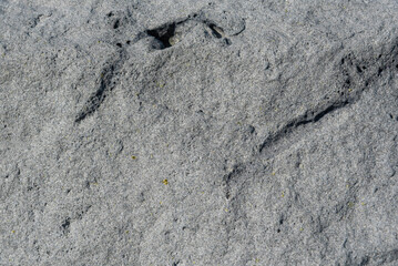 Photo of stone texture pattern