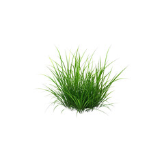 Lush Green Grass Tuft, Isolated on Transparent Background