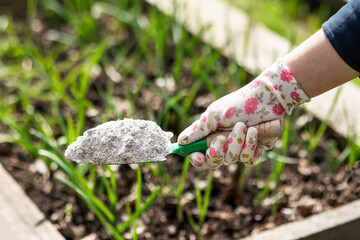 Ash as Fertilizer for Plants and Growing Vegetables. Organic Farming. Soil Fertilization and...