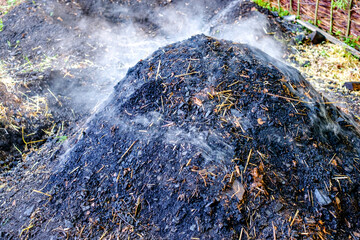 Steam rises from freshly turned compost pile at a community garden during midday in spring,...