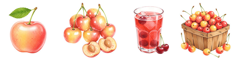 Watercolor Arrangement of cherries with a glass of juice and a basket full of the sweet summer fruit on transparent background