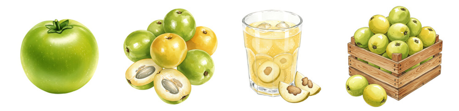 Watercolor Artistic arrangement of ambarella fruits with juice in a glass and wooden crate on a plain canvas on transparent background
