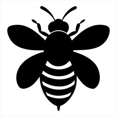 bee vector illustration