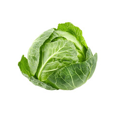 Fototapeta premium Fresh Green Cabbage, Isolated on Transparent Background