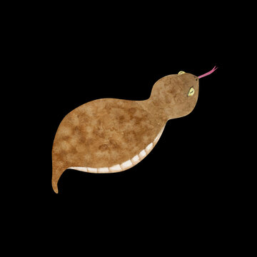 Tsuchinoko Images – Browse 190 Stock Photos, Vectors, and Video