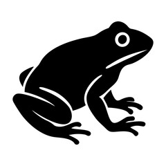 frog on a white background