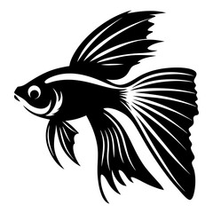 Elegant Monochrome Illustration of a Siamese Fighting Fish with Intricate Details