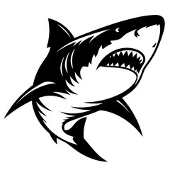 Black and white illustration of a great white shark with open mouth