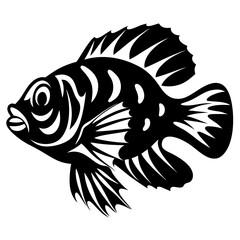 Black and white ornamental vector illustration of an exotic fish species