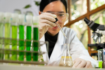 Doctor biotechnology working indoors laboratory research scientist to analyzing and development about seed and growth of herb for safety protect and education virus liquid