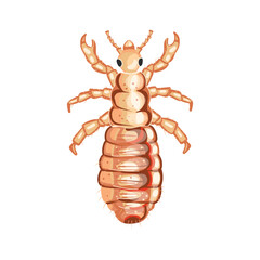 Obraz premium Realistic lice