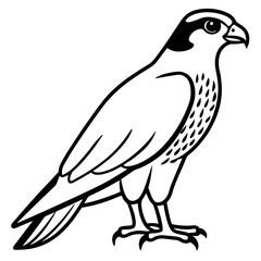 Elegant Falcon Line Drawing Design