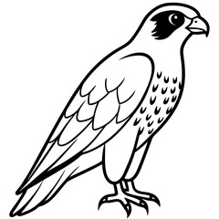 Elegant Falcon Line Drawing Design