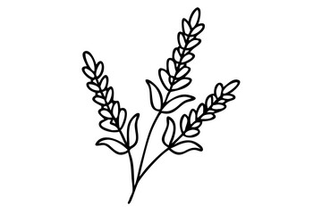 Fototapeta premium Lavender Flower Line Art Illustration for Aromatherapy Prints, Botanical Decor