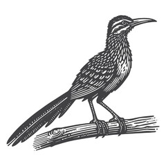 Obraz premium Simple Roadrunner Perched Vector Icon Design – Vintage Retro Logo & Illustration