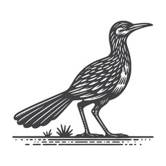 Obraz premium Simple Roadrunner Side View Vector Icon Design – Vintage Retro Logo & Illustration