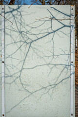 Organic drop shadow on the info booth, wall art. Empty information board in the park.  Sunny spring...