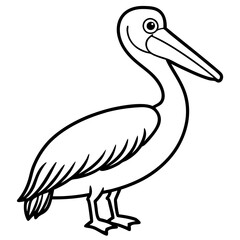 Elegant Pelican Outline Illustration