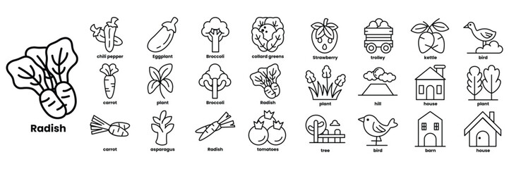 Set of illustrations in the concept of fruits in line style