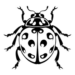 Black and White Ladybug Illustration Showing Wings and Antennae, Stylized Art