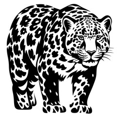 Beautiful jaguar in black and white graphic style, a striking vector image