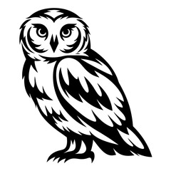 Stylized Illustration of an Owl in Black and White Monochromatic Theme