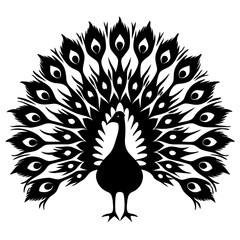 Elegant peacock silhouette displaying ornate tail feathers in a captivating graphic style