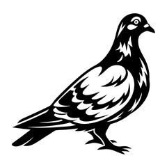 Fototapeta premium Stylized black and white image of a standing pigeon or dove