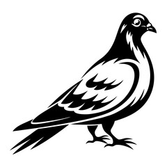 Obraz premium Elegant Black and White Silhouette of a Pigeon Standing with Artistic Flair
