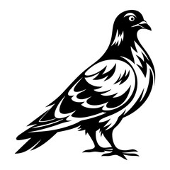 Striking Black and White Vector Illustration of a Pigeon in Profile View