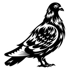 Obraz premium Stylized Black and White Pigeon Illustration with Ornamental Feathering and Simple Details