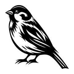 Stylized Vector Illustration of a Sparrow in Black and White with Details