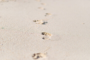footprint in the sand of beach