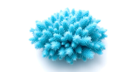 Vibrant coral reef structure underwater nature photography tropical ocean close-up marine life