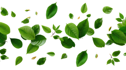 Green Leaves Symphony: A vibrant collection of fresh green leaves of varying shapes and sizes dances across the image, symbolizing renewal and growth. The image shows leaves in flight.