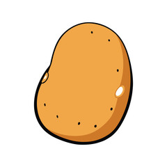 Potato vector illustration. Root vegetable illustration for farming, healthy eating, rustic food themes