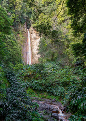 Cascata da Ribeira Quente, São Miguel, Azoren: Ein idyllischer Wasserfall inmitten üppiger Natur....