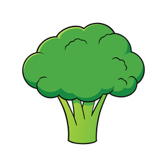 Broccoli Vector Illustration — Green Vegetable Clipart for Farm Market, Food Design Use