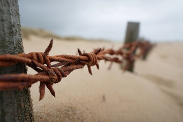 Fototapeta premium Rusty barbed wire stretches along sandy terrain, evoking sense o