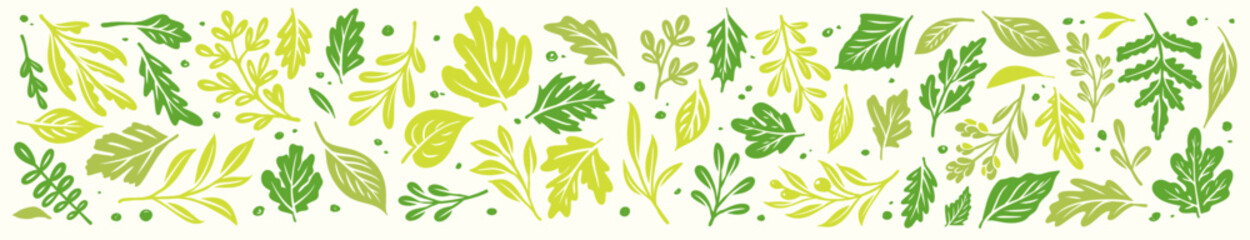 Set of Doodle Fresh Green Leaves Clip Art Spring Leaf icon and Background tropical fresh wild and natural in vector
