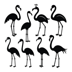 Fototapeta premium set of flamingos